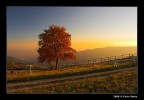 Ancora una bella vista sulla Val Sugana all'ora del Tramonto. No HDR, no doppia esposizione! Solo 15-30 e polarizzatore.