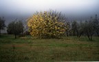 Autunno Autunno