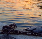 quiete in porto quiete in porto