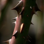 intoccabile intoccabile