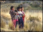 Bimbi boliviani Bimbi boliviani