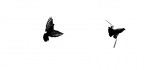 flight 2 flight 2