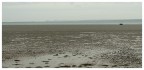 La costa della Bretagna dopo St Brieuc, in bassa marea... ma proprio bassa bassa marea...