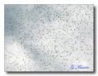Texture volanti Texture volanti