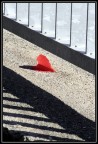 Cuore autunnale Cuore autunnale