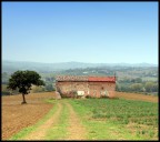 Il Tempo Il Tempo