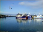 Howth Docks Co. Dublin - Sep 2006 Howth Docks Co. Dublin - Sep 2006