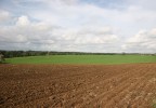 La mia terra, in questo periodo tra il verde delle coltivazioni, il marrone della terra lavorata e le sfumature del cielo, natura ed uomo riescono a creare quadretti interessanti...

Ciao e buona giornata a tutti.

Commenti e suggerimenti sono sembre ben accetti.