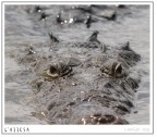 L'attesa