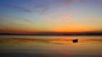 Canon EOS 350D + Canon EF 17-40L - F/20 - 1,3 sec - 200 ISO
Lago Trasimeno - Perugia

Ciao ciao