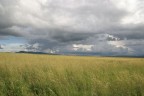 Kenia - Savana Kenia - Savana