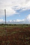 Kenia - Spear and Kilimangiaro Kenia - Spear and Kilimangiaro