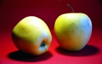Mele-Prova di Still Life- Mele-Prova di Still Life-