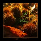 assaggi di autunno assaggi di autunno