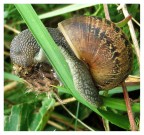 Che fatica... Che fatica...