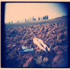 Distraction Distraction