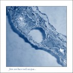 fare un buco nell'acqua fare un buco nell'acqua