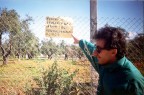 foto scattata in un oliveto nel comune di Alghero (SS) - febbraio 1989

...forse avevo una kodak....boh??