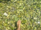 Sar cos .. onesta come se tu fossi il mare, il mare..