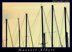 Maestri Alberi Maestri Alberi