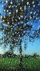 Ricetta:
recarsi ad un autolavaggio di quelli che lavado a mano e con vista  ad un campo con albero;
rimanera in macchina;
non appena l'omino spruzza il liquido saponato sul parabrezza...... zaccccc

ecco il risultato