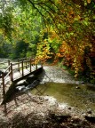 i colori dell'autunno i colori dell'autunno