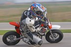 Minimotard Minimotard