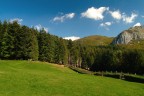 Garfagnana - Parco Dell' Orecchiella - Garfagnana - Parco Dell' Orecchiella -