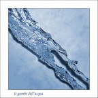 le gambe dell'acqua le gambe dell'acqua