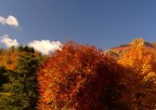 autunno autunno