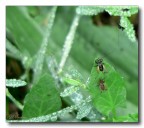 Il saluto è la prima cosa... Il saluto è la prima cosa...