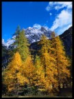 Autunno in Dolomiti Autunno in Dolomiti