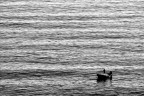 Lost Lost