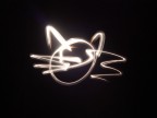 Gatto di luce :P Gatto di luce :P