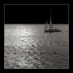 silence silence