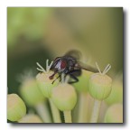 inspira ed aspira inspira ed aspira