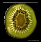 KIWI 2 KIWI 2