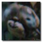 Macro Digitale Macro Digitale