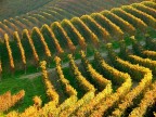 Langhe d'autunno Langhe d'autunno