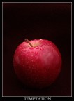Temptation Temptation