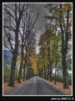 Viale Autunnale Viale Autunnale