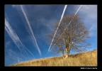 Finestron (Monte Grappa) Finestron (Monte Grappa)