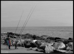 Aspettando in PACE! Aspettando in PACE!
