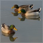 Tramonto in laguna... Tramonto in laguna...