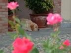 f/5.6  1/128 6MPfine
Fuji FinePix S20Pro