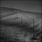 onda di un mare d'erba onda di un mare d'erba