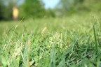 non riesco a rialzarmi non riesco a rialzarmi