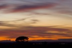 tramonto tramonto