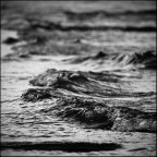 acqua acqua