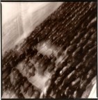 Processione Processione